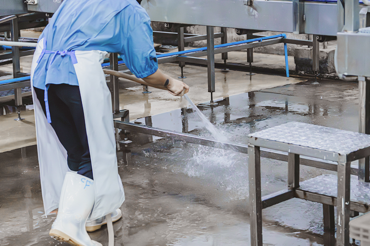 食品工場清掃業務